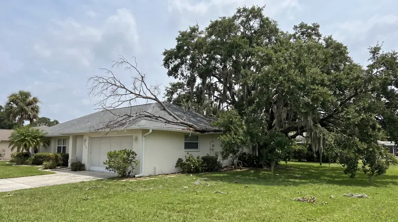 Large dead oak limb fallen across the roof of a single-story stucco home, with small branches scattered on the lawn