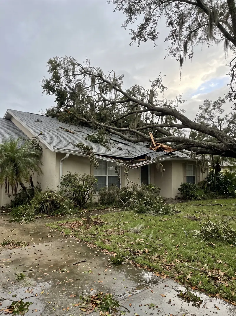 Large live oak fallen across the shingle roof of a stucco home, with a broken eave and branches over the front windows