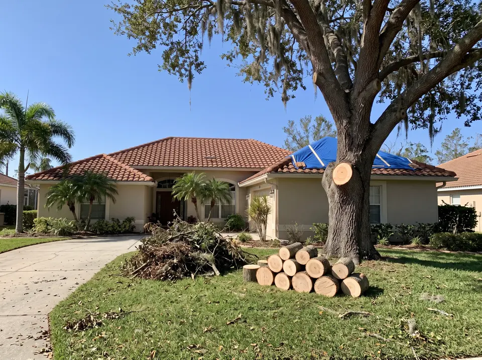 Blue tarp secured over the damaged tile roof of a home, with cut oak rounds and a brush pile stacked on the lawn